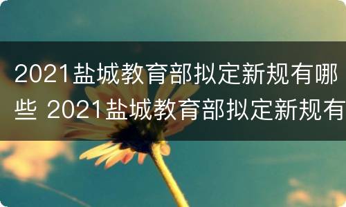 2021盐城教育部拟定新规有哪些 2021盐城教育部拟定新规有哪些文件