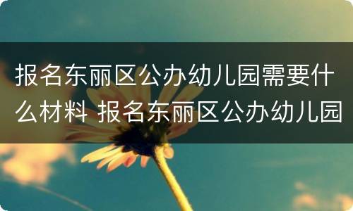 报名东丽区公办幼儿园需要什么材料 报名东丽区公办幼儿园需要什么材料才能报名