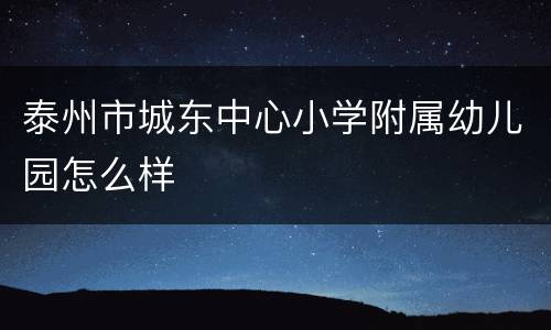 泰州市城东中心小学附属幼儿园怎么样