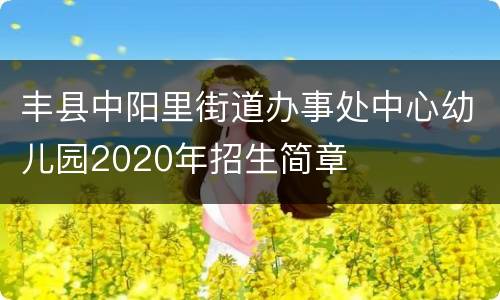 丰县中阳里街道办事处中心幼儿园2020年招生简章