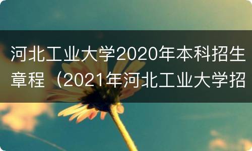 河北工业大学2020年本科招生章程（2021年河北工业大学招生章程）