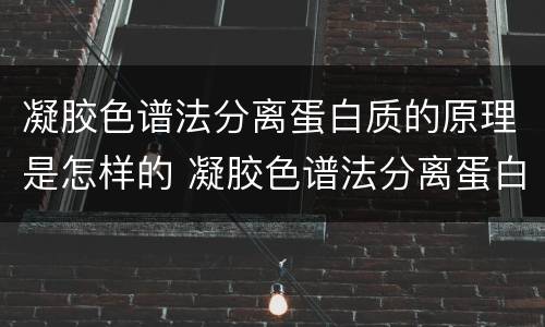 凝胶色谱法分离蛋白质的原理是怎样的 凝胶色谱法分离蛋白质的原理