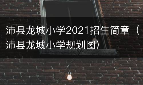 沛县龙城小学2021招生简章（沛县龙城小学规划图）