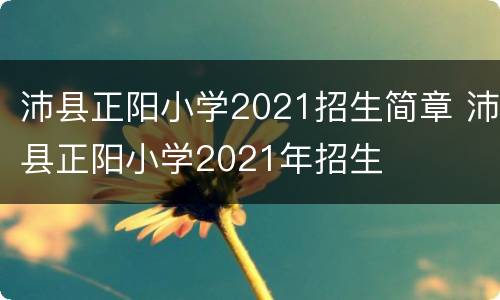 沛县正阳小学2021招生简章 沛县正阳小学2021年招生