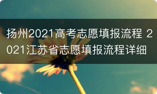 扬州2021高考志愿填报流程 2021江苏省志愿填报流程详细