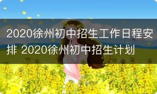 2020徐州初中招生工作日程安排 2020徐州初中招生计划