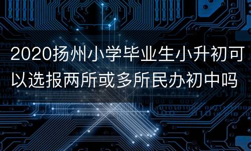 2020扬州小学毕业生小升初可以选报两所或多所民办初中吗