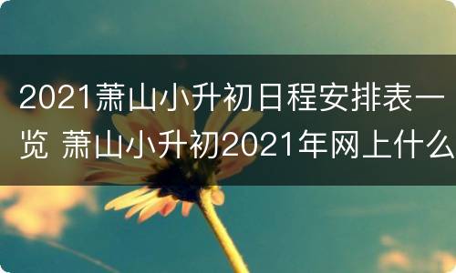 2021萧山小升初日程安排表一览 萧山小升初2021年网上什么时候报名