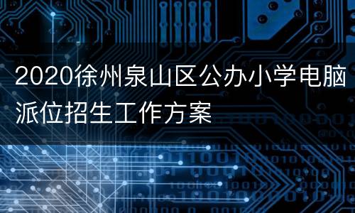 2020徐州泉山区公办小学电脑派位招生工作方案