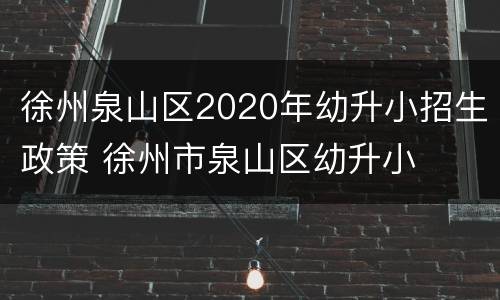 徐州泉山区2020年幼升小招生政策 徐州市泉山区幼升小