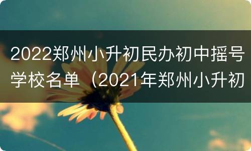 2022郑州小升初民办初中摇号学校名单（2021年郑州小升初摇号）