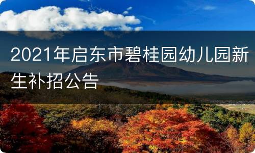 2021年启东市碧桂园幼儿园新生补招公告