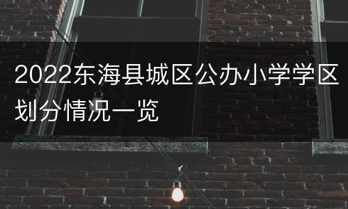 2022东海县城区公办小学学区划分情况一览