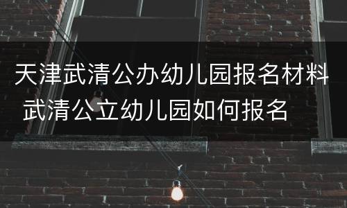 天津武清公办幼儿园报名材料 武清公立幼儿园如何报名