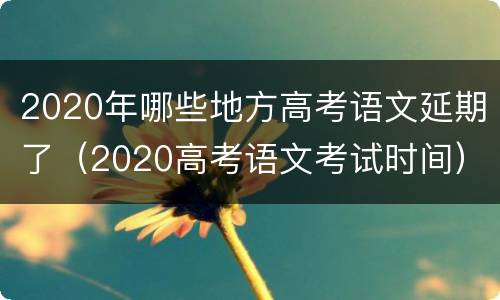 2020年哪些地方高考语文延期了（2020高考语文考试时间）