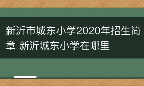 新沂市城东小学2020年招生简章 新沂城东小学在哪里