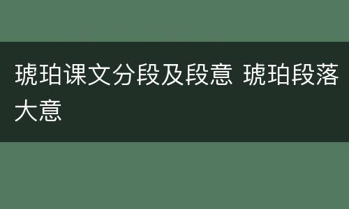 琥珀课文分段及段意 琥珀段落大意