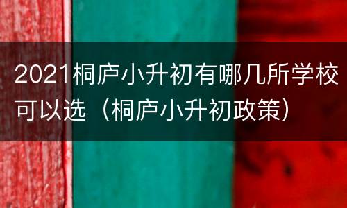 2021桐庐小升初有哪几所学校可以选（桐庐小升初政策）