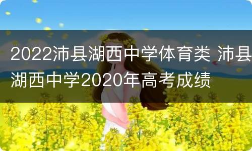 2022沛县湖西中学体育类 沛县湖西中学2020年高考成绩