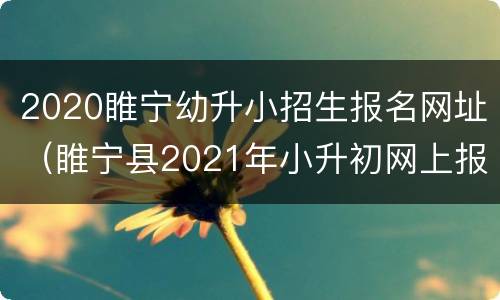 2020睢宁幼升小招生报名网址（睢宁县2021年小升初网上报名）