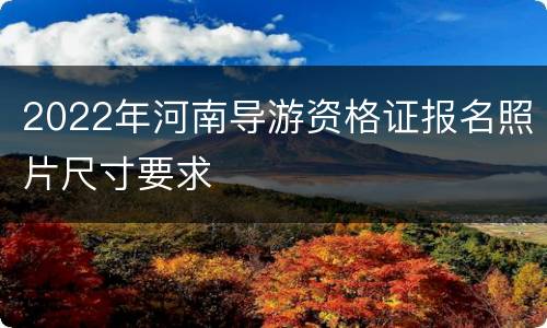 2022年河南导游资格证报名照片尺寸要求