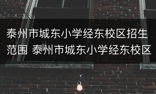 泰州市城东小学经东校区招生范围 泰州市城东小学经东校区招生范围图片