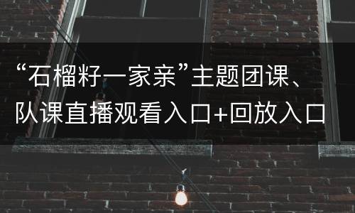 “石榴籽一家亲”主题团课、队课直播观看入口+回放入口