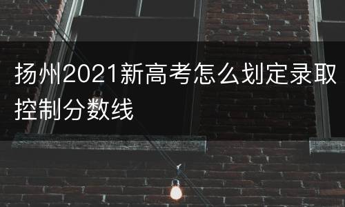 扬州2021新高考怎么划定录取控制分数线