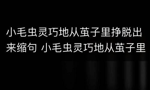 小毛虫灵巧地从茧子里挣脱出来缩句 小毛虫灵巧地从茧子里挣脱出来缩句答案