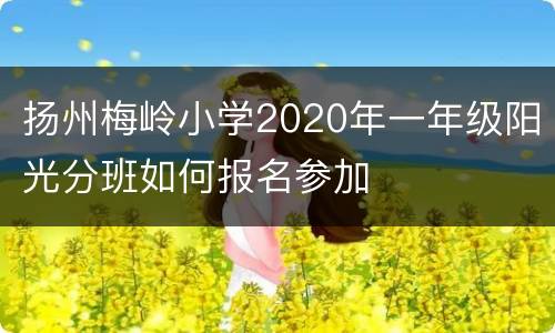 扬州梅岭小学2020年一年级阳光分班如何报名参加