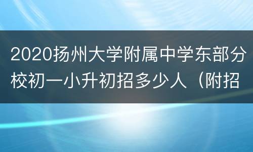 2020扬州大学附属中学东部分校初一小升初招多少人（附招生范围）