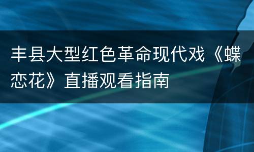 丰县大型红色革命现代戏《蝶恋花》直播观看指南