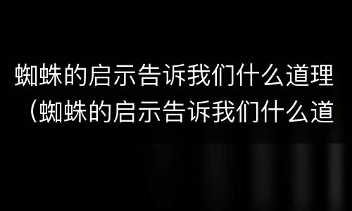 蜘蛛的启示告诉我们什么道理（蜘蛛的启示告诉我们什么道理作文）