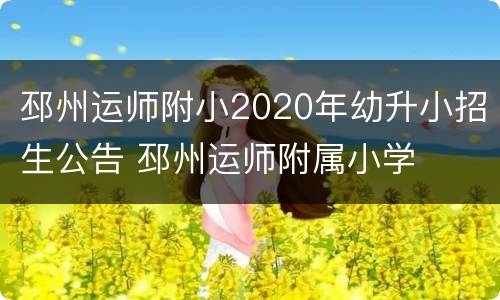 邳州运师附小2020年幼升小招生公告 邳州运师附属小学