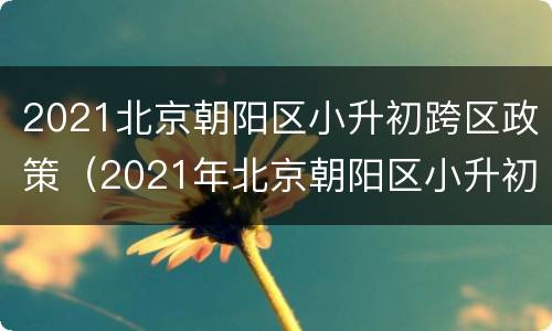 2021北京朝阳区小升初跨区政策（2021年北京朝阳区小升初政策）