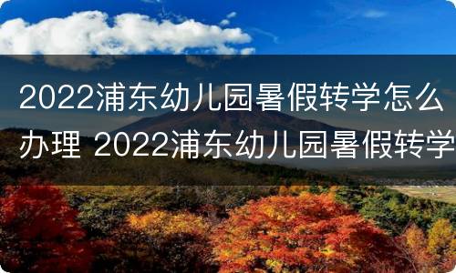 2022浦东幼儿园暑假转学怎么办理 2022浦东幼儿园暑假转学怎么办理手续