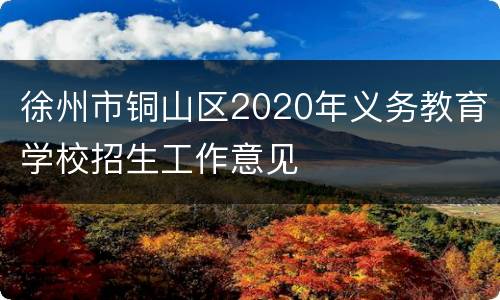 徐州市铜山区2020年义务教育学校招生工作意见