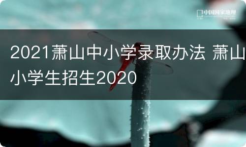 2021萧山中小学录取办法 萧山小学生招生2020