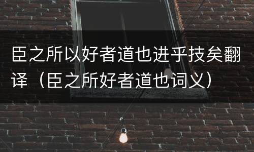 臣之所以好者道也进乎技矣翻译（臣之所好者道也词义）