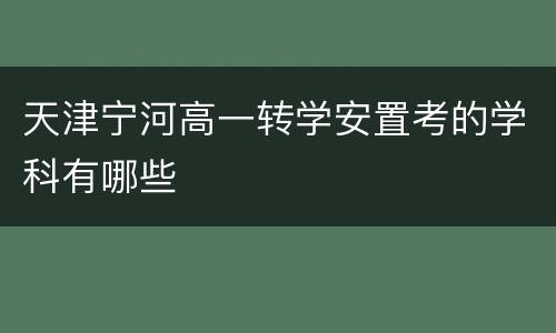 天津宁河高一转学安置考的学科有哪些