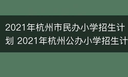 2021年杭州市民办小学招生计划 2021年杭州公办小学招生计划