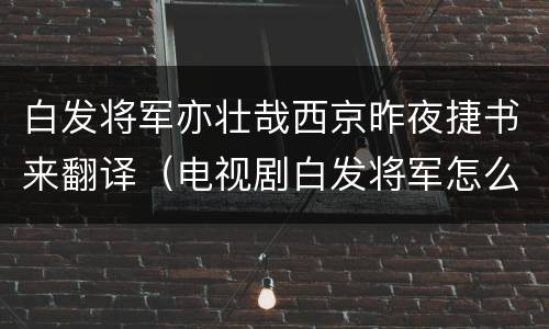 白发将军亦壮哉西京昨夜捷书来翻译（电视剧白发将军怎么样了）