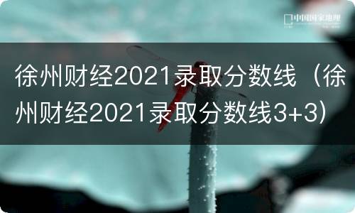 徐州财经2021录取分数线（徐州财经2021录取分数线3+3）