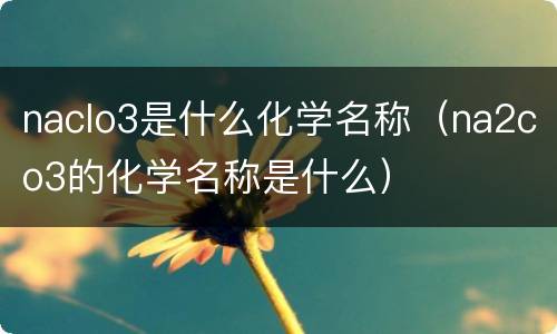 naclo3是什么化学名称（na2co3的化学名称是什么）