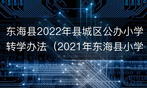 东海县2022年县城区公办小学转学办法（2021年东海县小学转学条件）