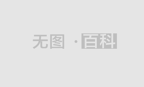 放行偷越国 放行偷越国境人员罪与运送他人偷越国境罪共犯