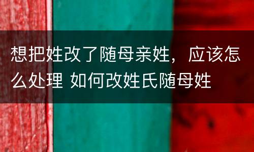 想把姓改了随母亲姓，应该怎么处理 如何改姓氏随母姓