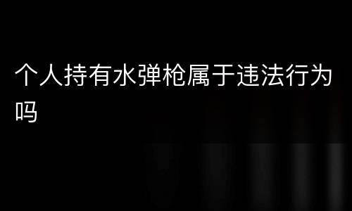 个人持有水弹枪属于违法行为吗