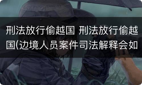 刑法放行偷越国 刑法放行偷越国(边境人员案件司法解释会如何规定