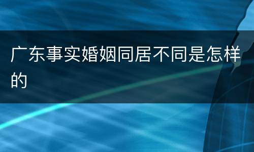 广东事实婚姻同居不同是怎样的